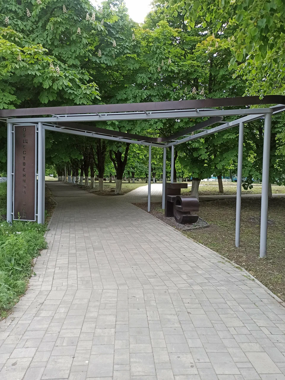 Фотографии.